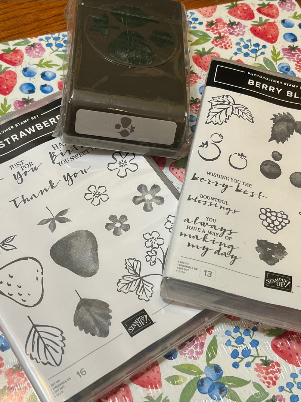 Stampin’ Up! Sweet Strawberry Berry Blessings Bundle Punch DSP NEW Retired